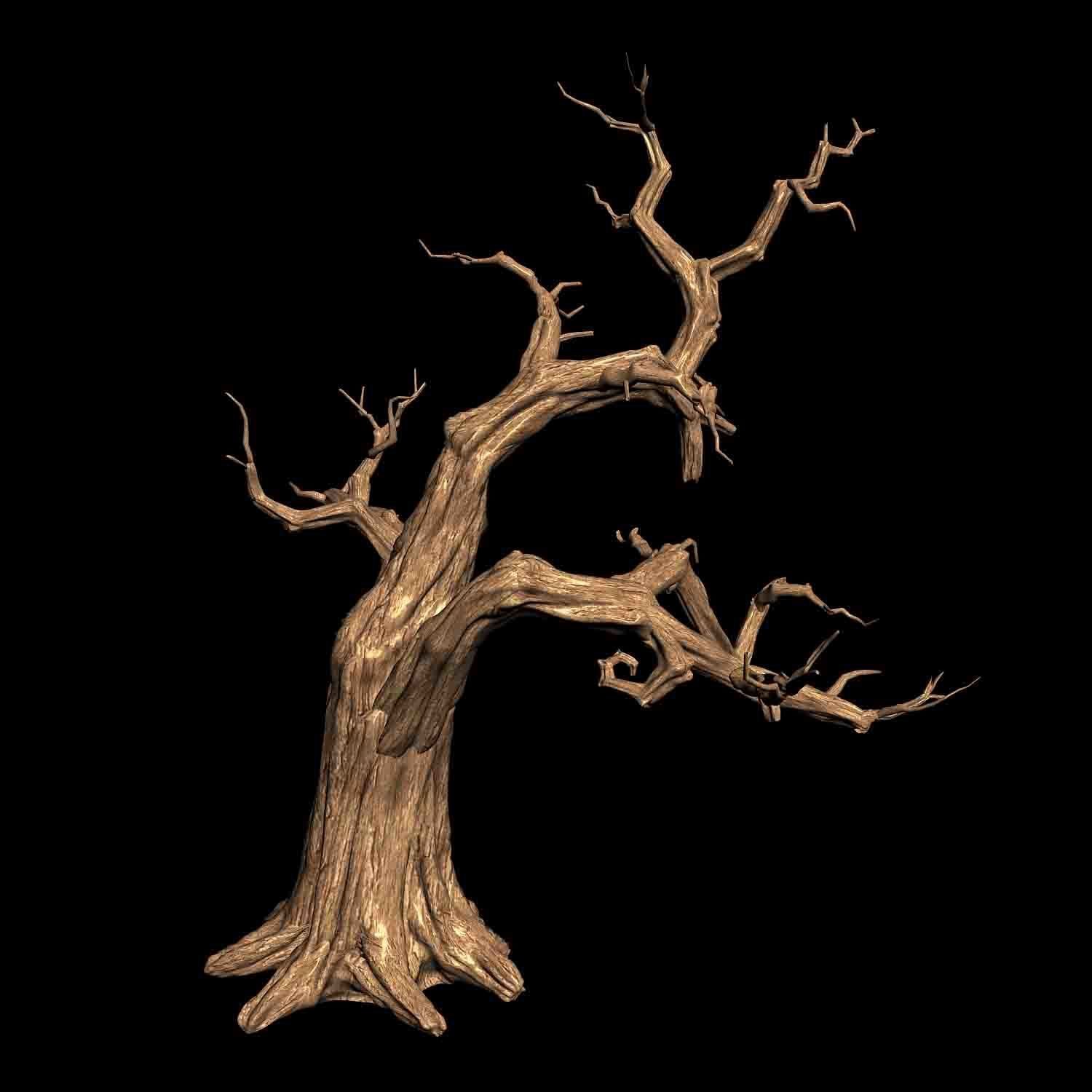 Empty Mulberry - dry tree 01 3D model_3