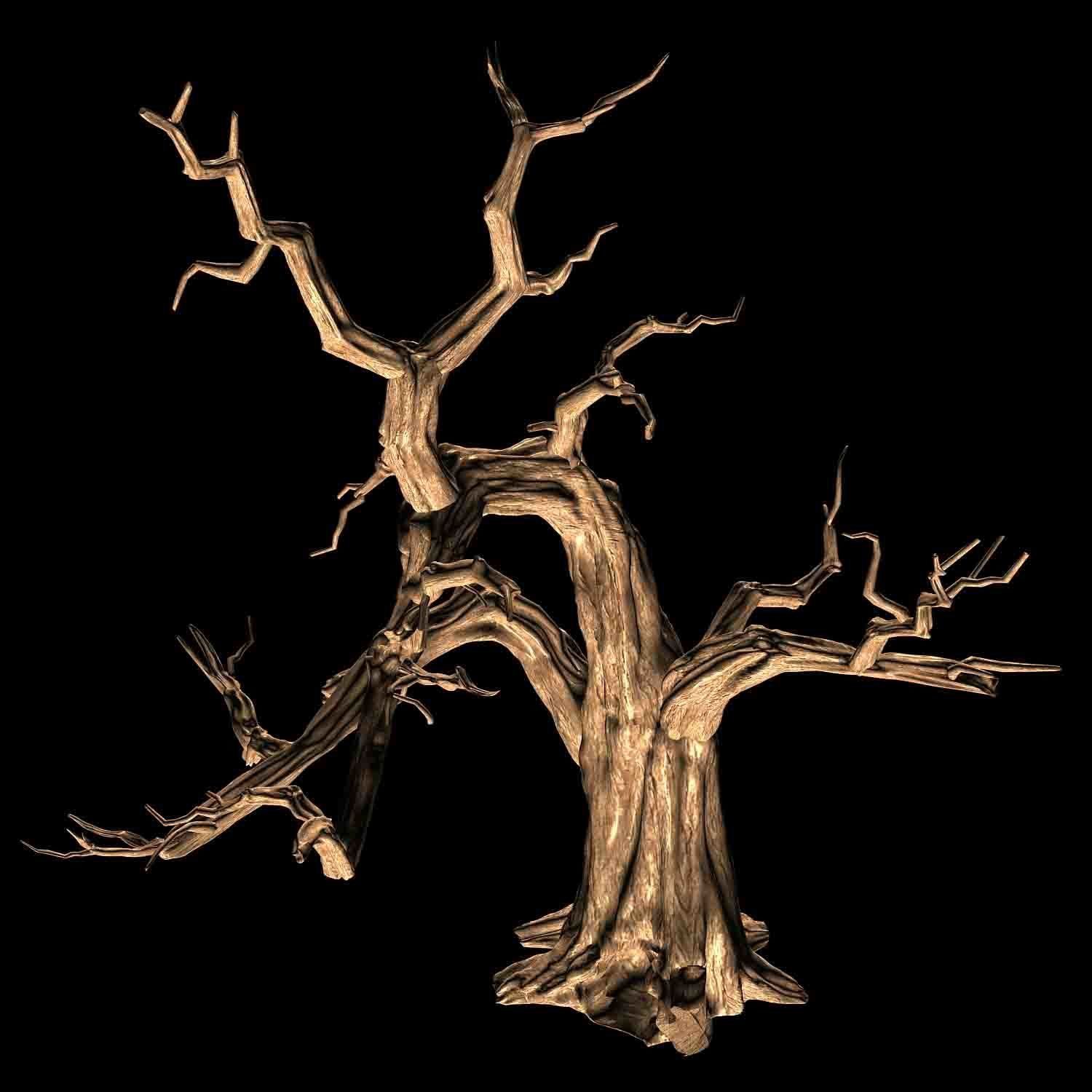 Empty Mulberry - dry tree 01 3D model_4