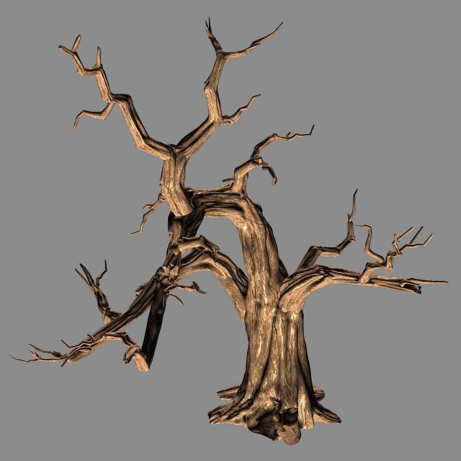 Empty Mulberry - dry tree 01 3D model_1
