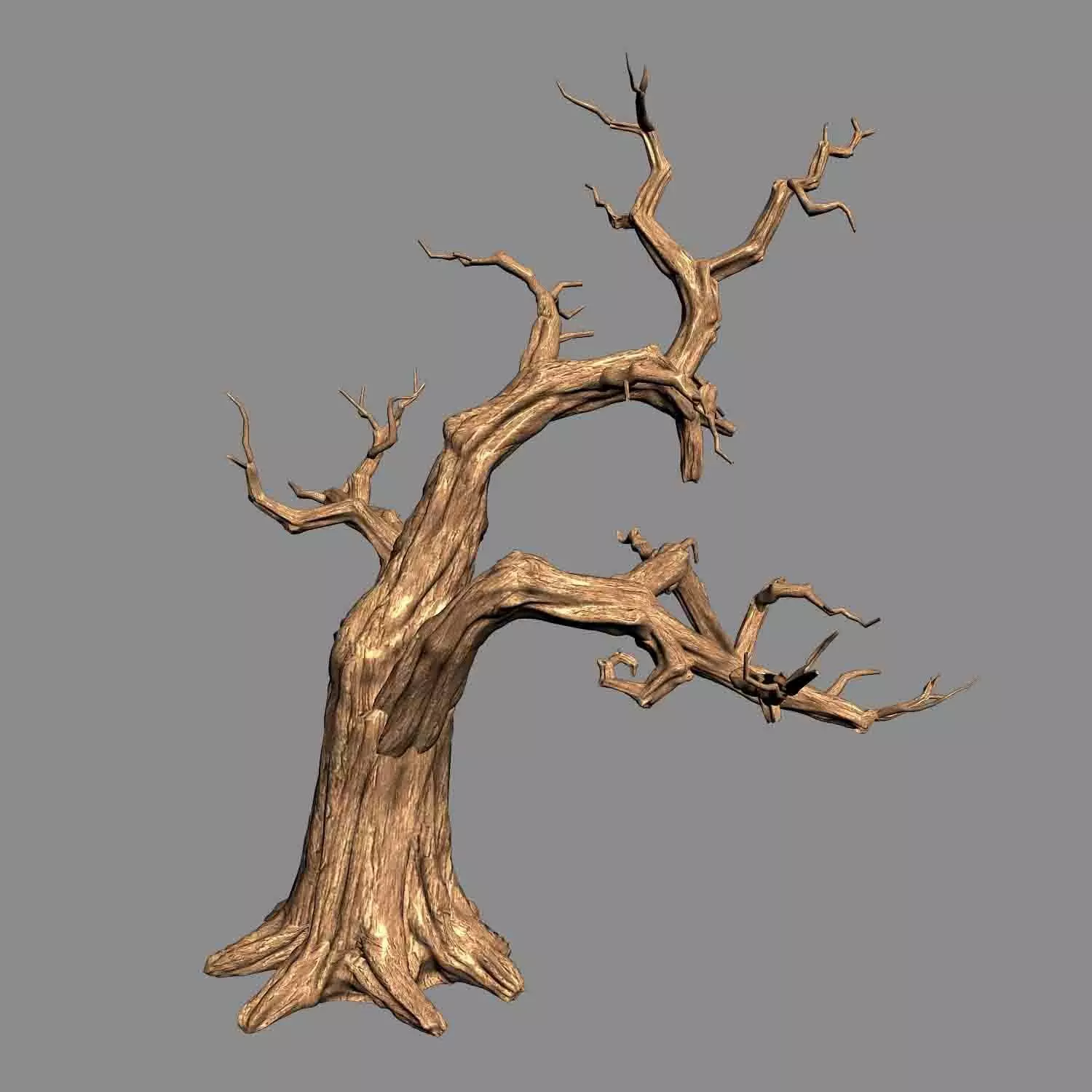 Empty Mulberry - dry tree 01 3D model_0