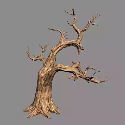 Empty Mulberry - dry tree 01 3D model