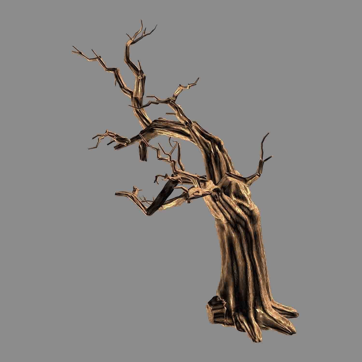 Empty Mulberry - dry tree 01 3D model_2