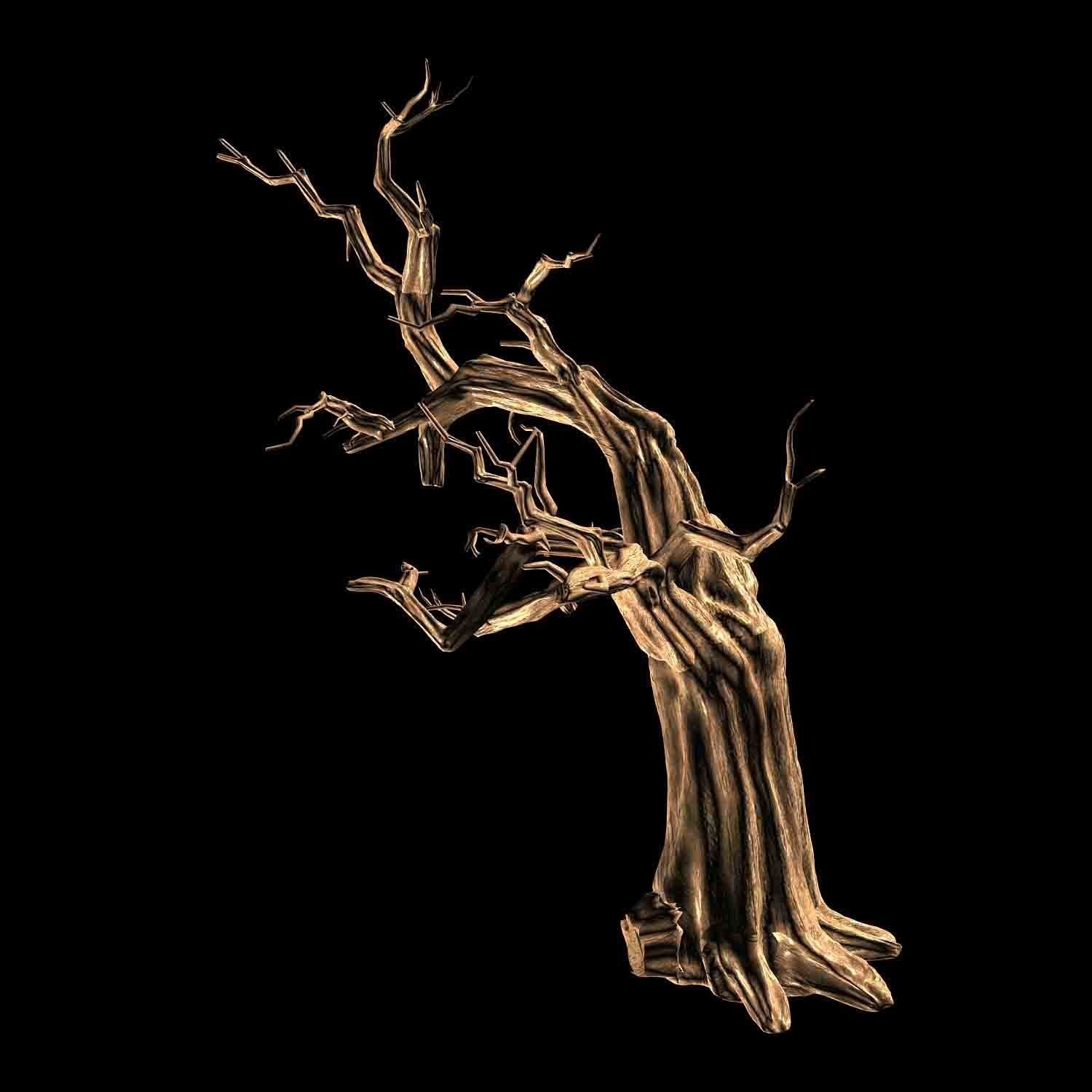 Empty Mulberry - dry tree 01 3D model_5
