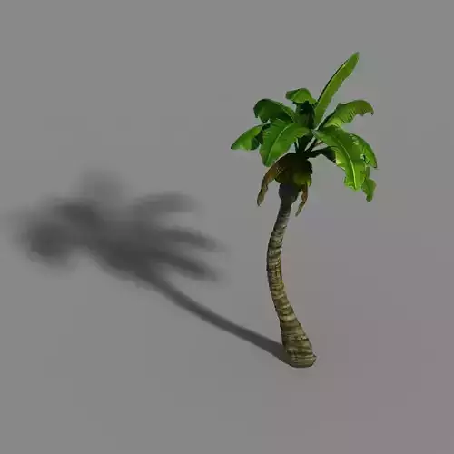 Empty Mulberry - coconut tree crook 01 3D model