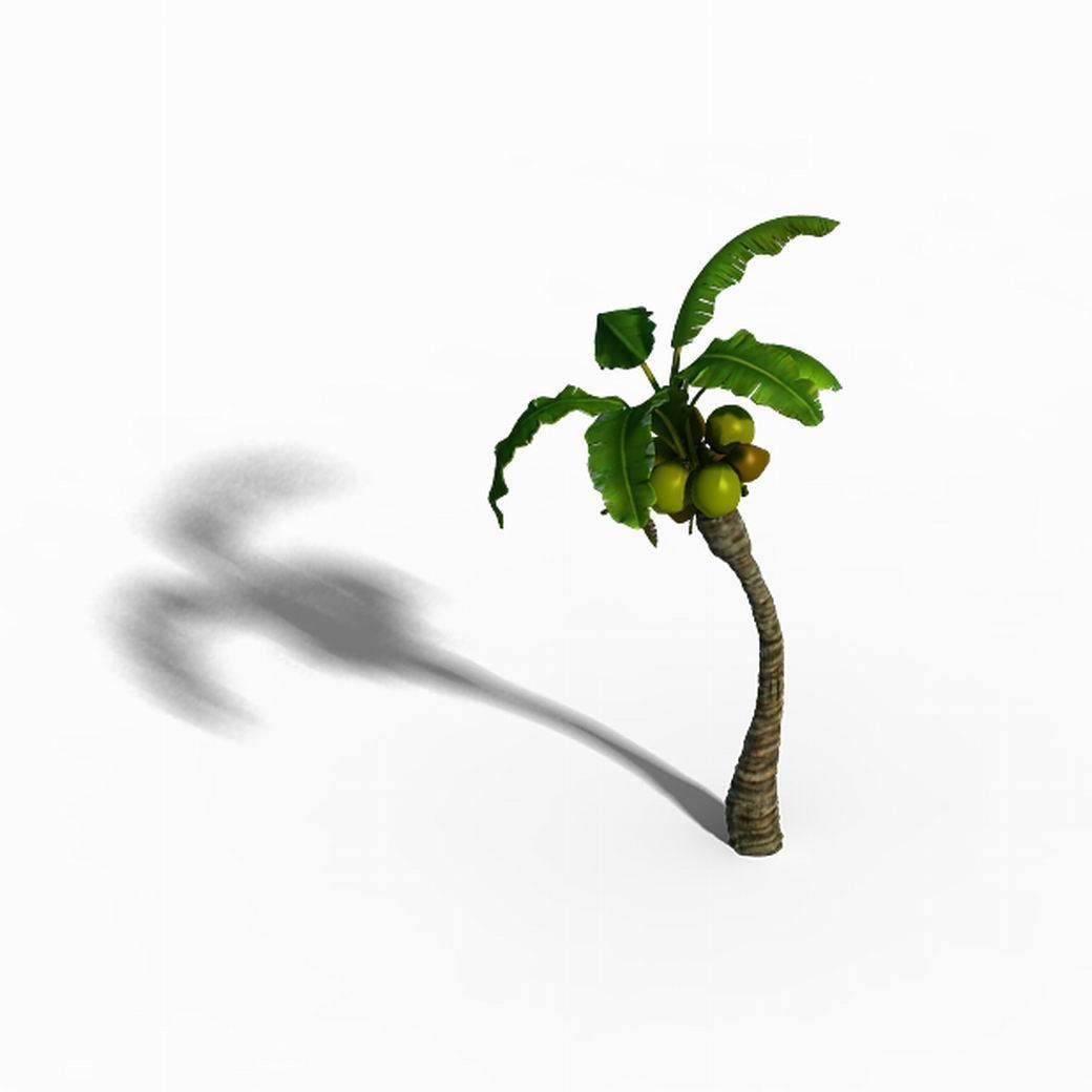 Empty mulberry - coconut tree bend 02 3D model_1