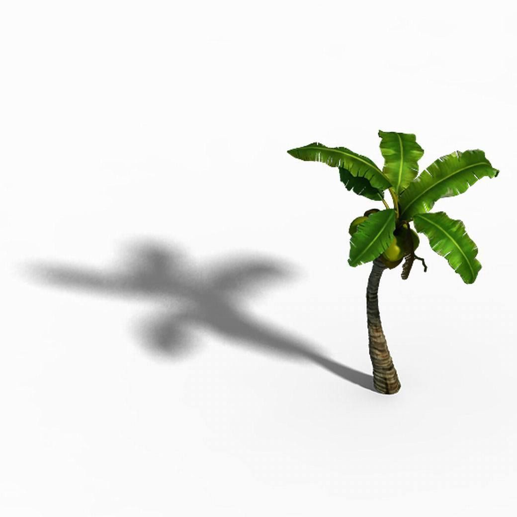 Empty mulberry - coconut tree bend 02 3D model_4