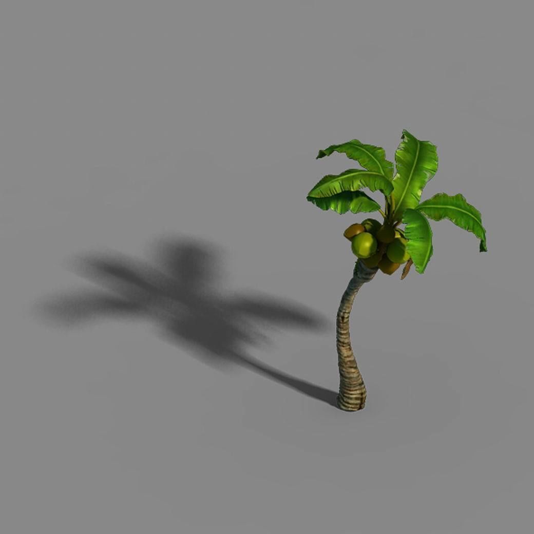 Empty mulberry - coconut tree bend 02 3D model_2