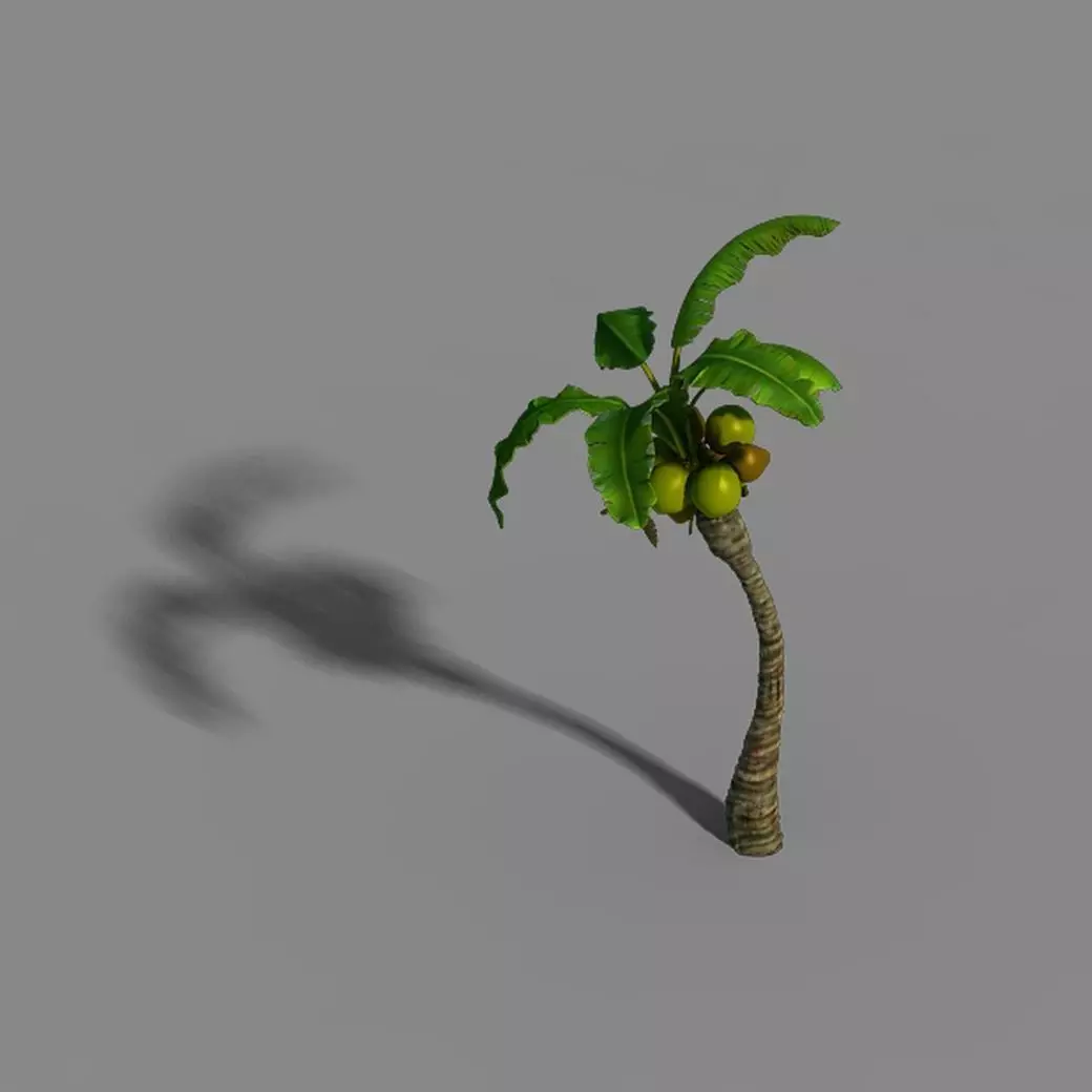 Empty mulberry - coconut tree bend 02 3D model_0