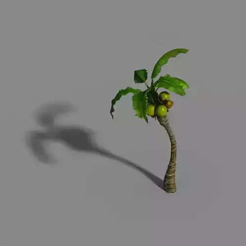 Empty mulberry - coconut tree bend 02