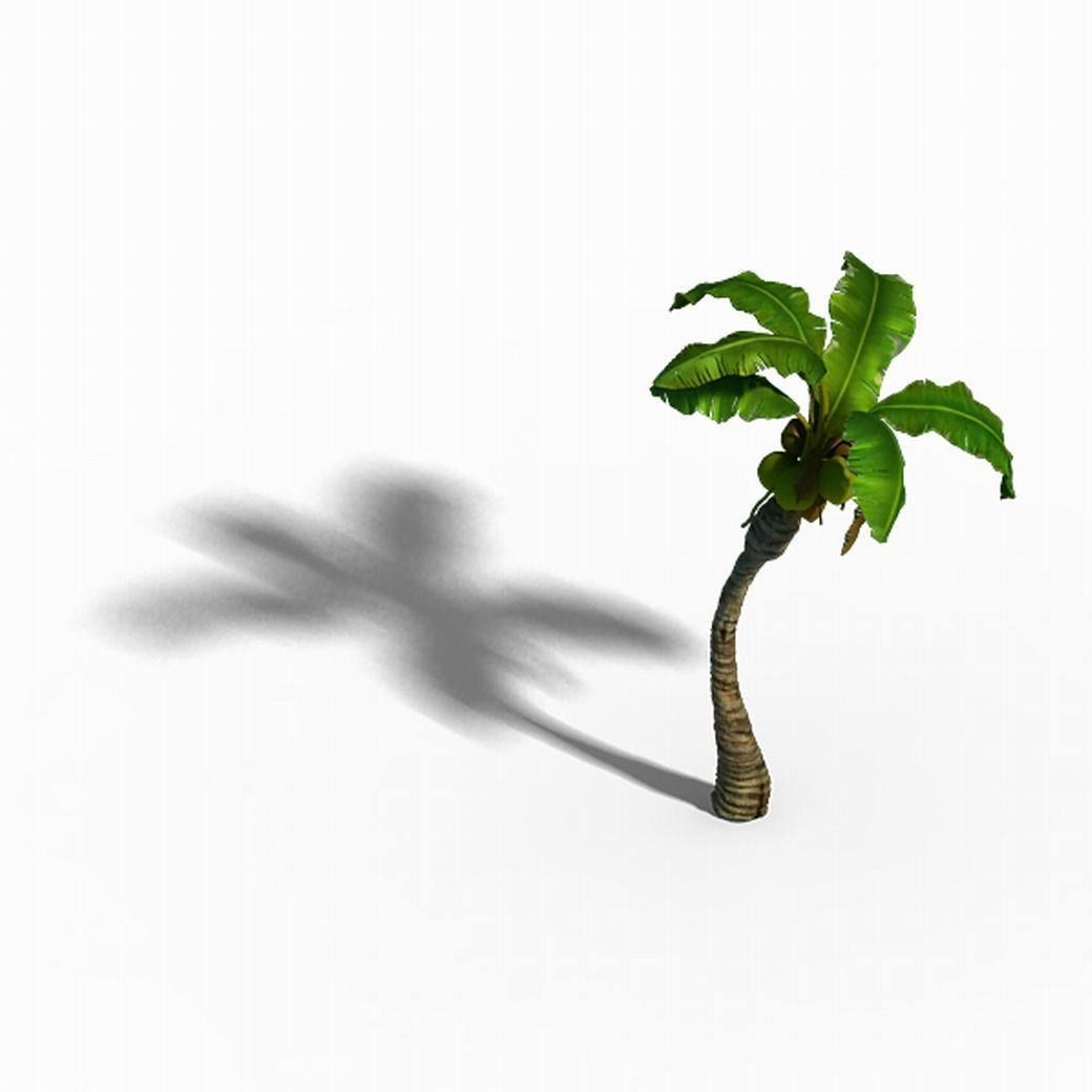 Empty mulberry - coconut tree bend 02 3D model_5