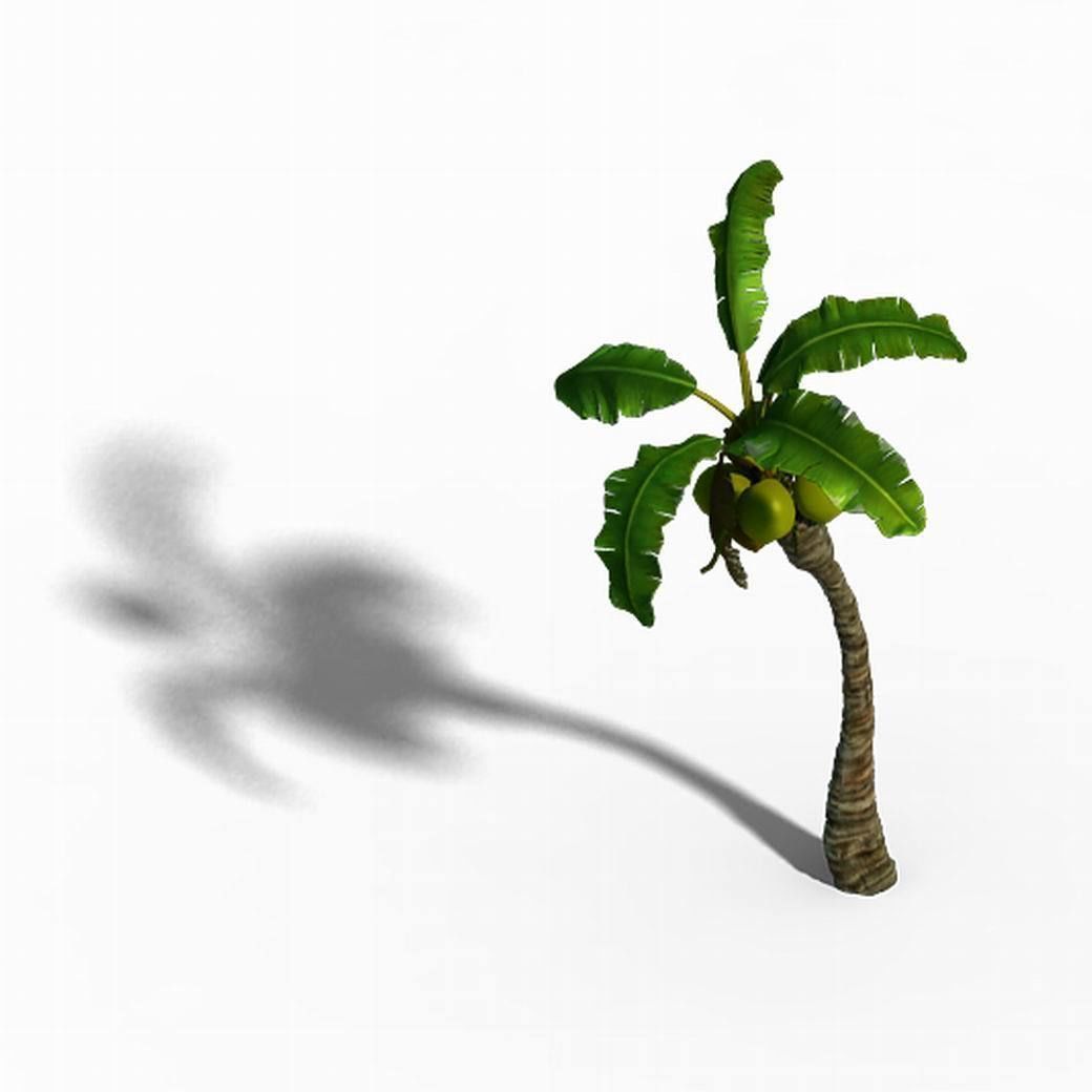 Empty mulberry - coconut tree bend 02 3D model_3