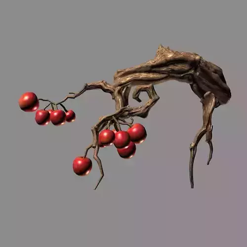 Empty Mulberry - small tree 01