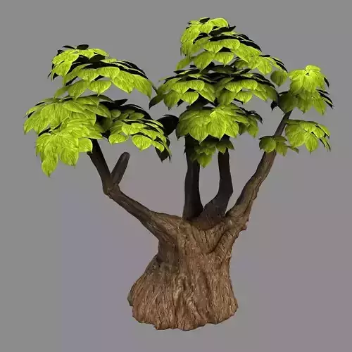 Empty Mulberry - small tree -02