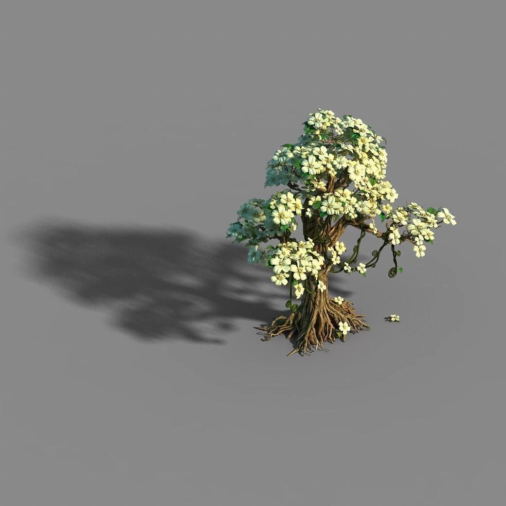 Lanruo Temple - Plants - White Tree 01 3D model_2
