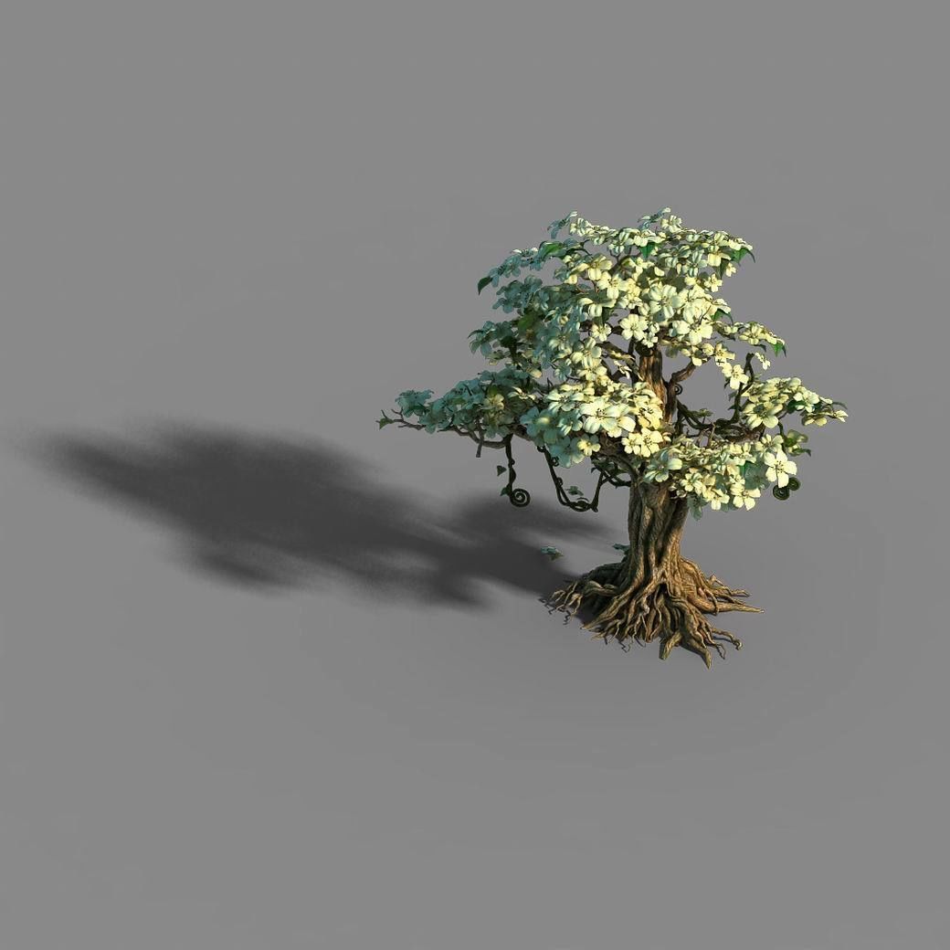 Lanruo Temple - Plants - White Tree 01 3D model_6