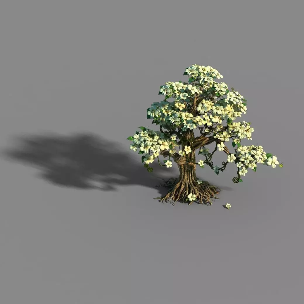Lanruo Temple - Plants - White Tree 01 3D model_0