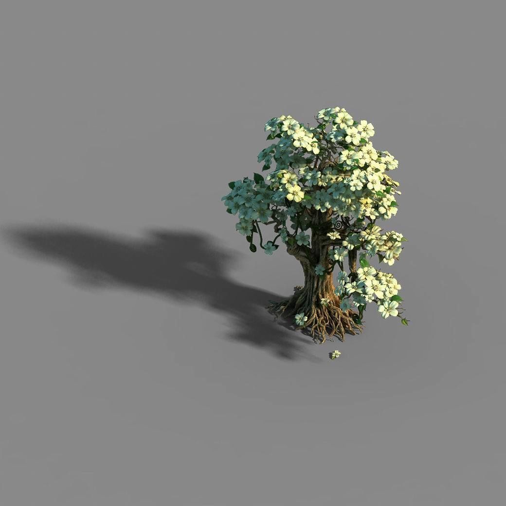 Lanruo Temple - Plants - White Tree 01 3D model_4