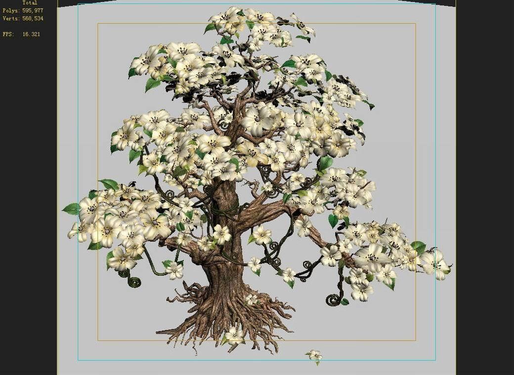 Lanruo Temple - Plants - White Tree 01 3D model_9
