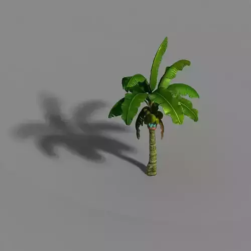 Liuli Island - coconut tree 01