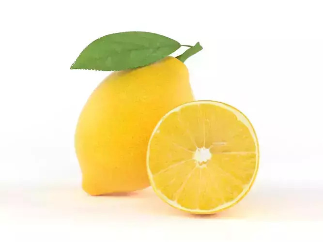 Lemon Fruit 3D model