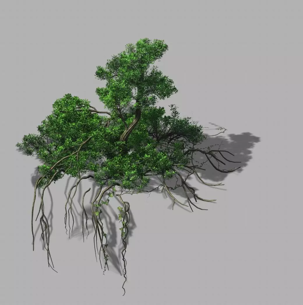 Mountain Hengshan - Dry tree 01 3D model