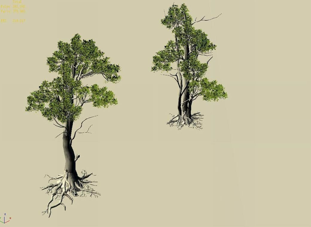Hengshan Mountain - Tree 03 3D model_3