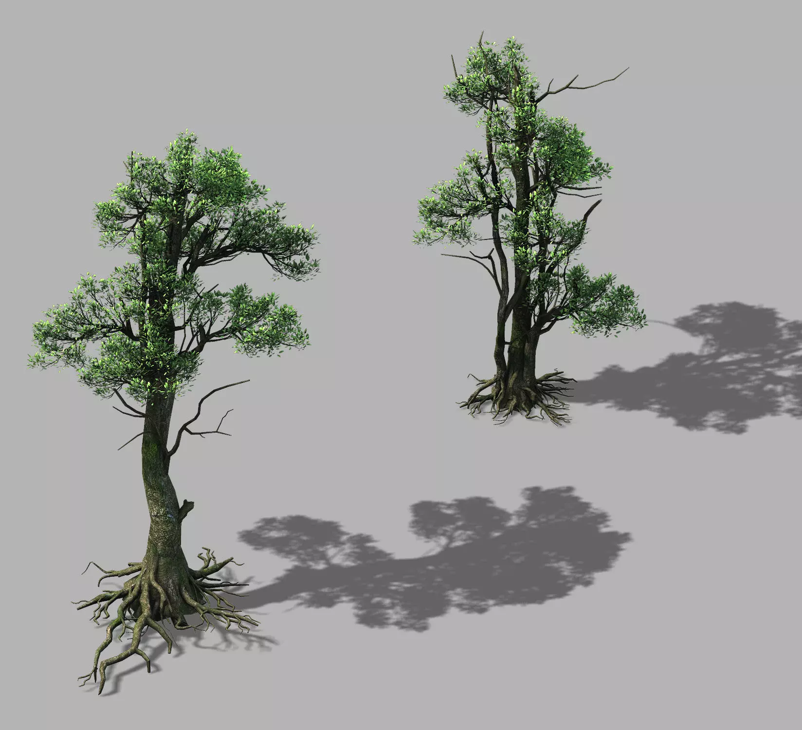 Hengshan Mountain - Tree 03 3D model_0