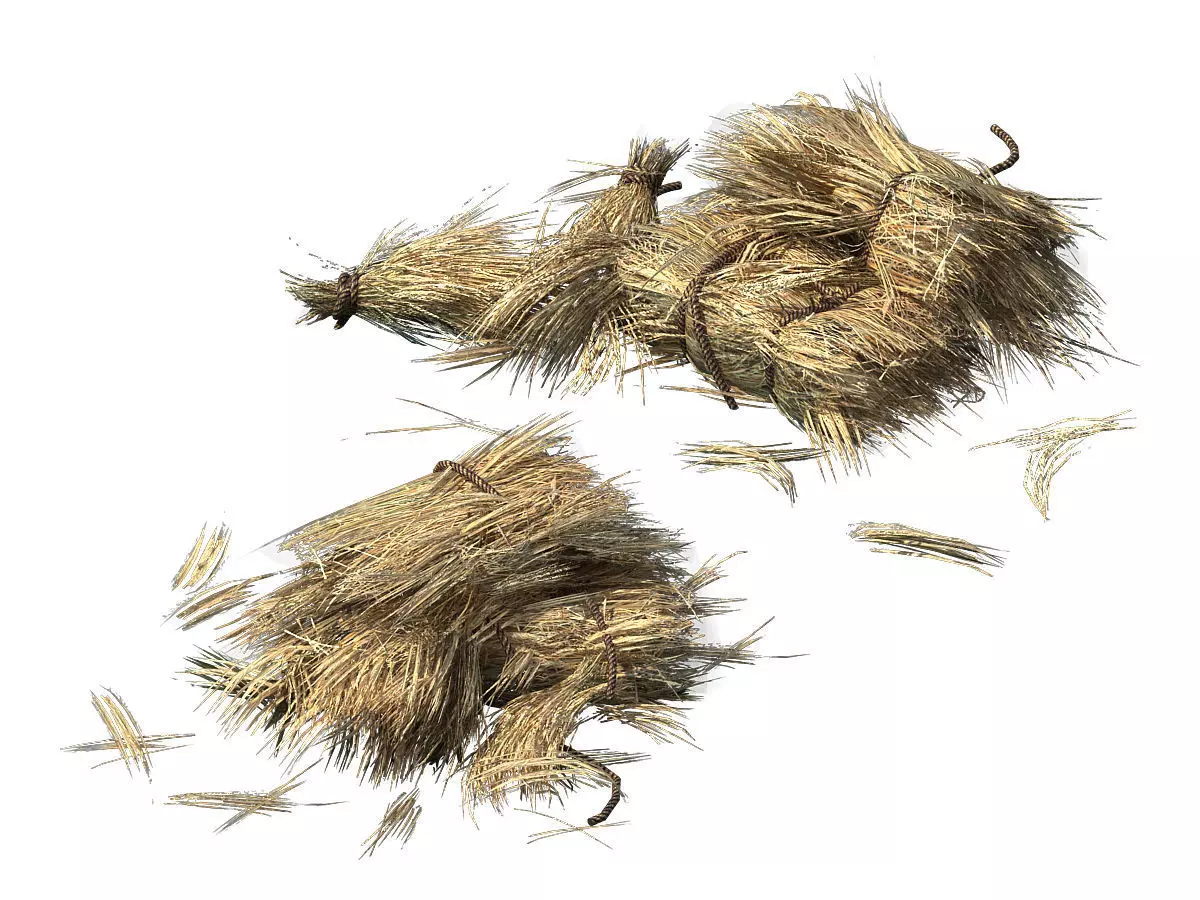 Crop - straw-02 3D model_0
