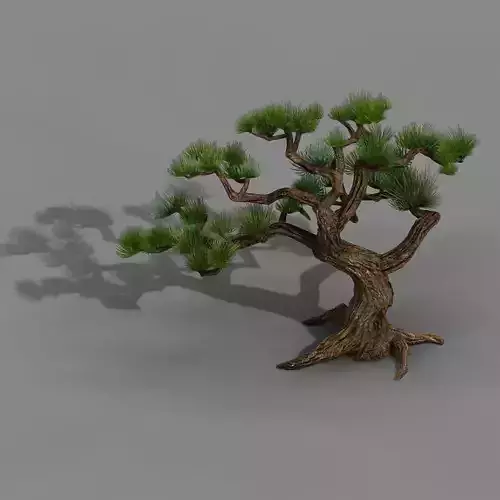 Qingyun Mountain - Pine -01