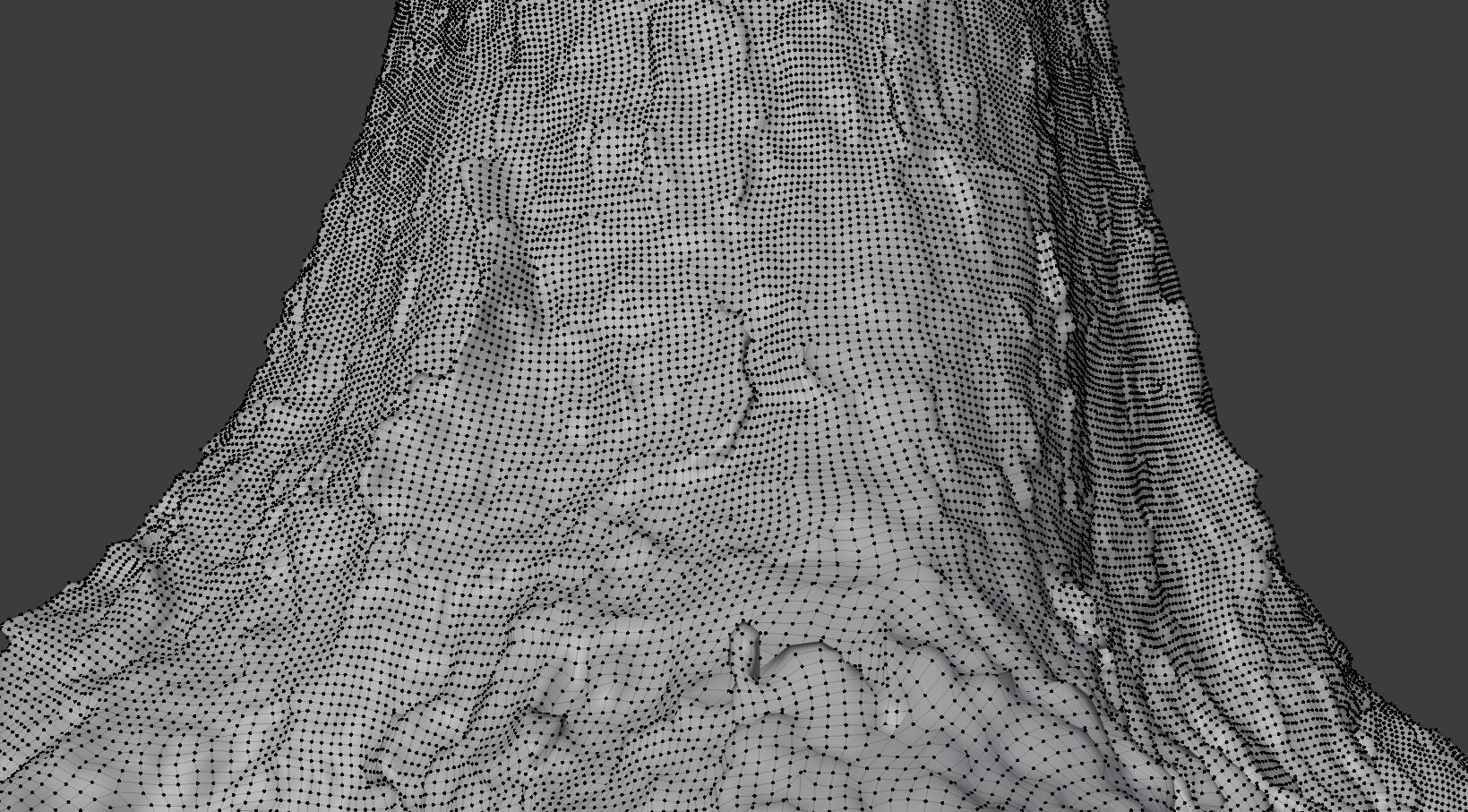 Spruce Tree Trunk Low-poly 3D model_14