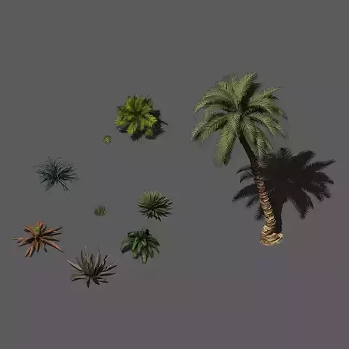 Desert Plants - Hay Grass 273