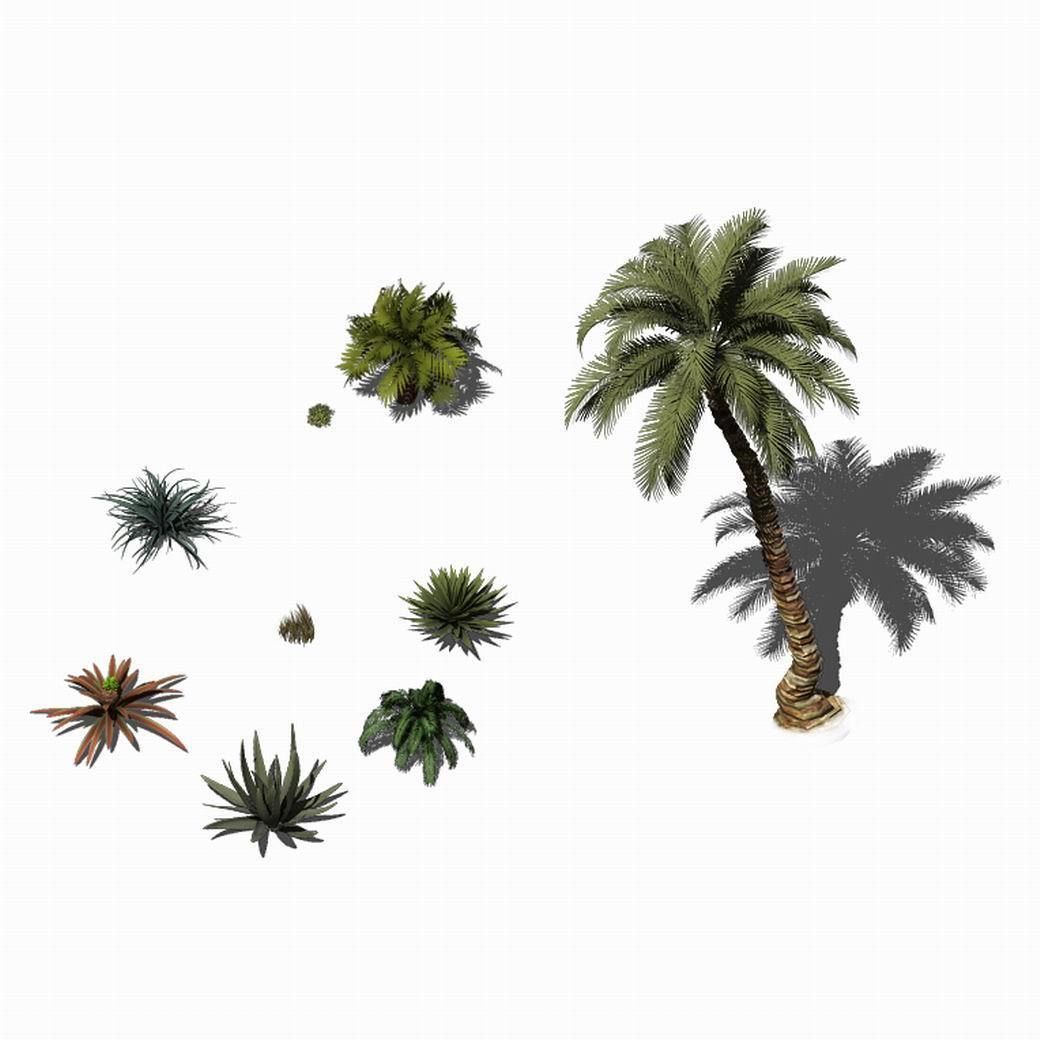 Desert Plants - Hay Grass 273 3D model_1