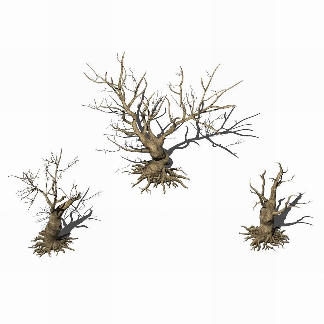 Desert Plants - Dead Trees 271 3D model_1