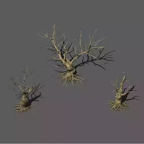 Desert Plants - Dead Trees 271