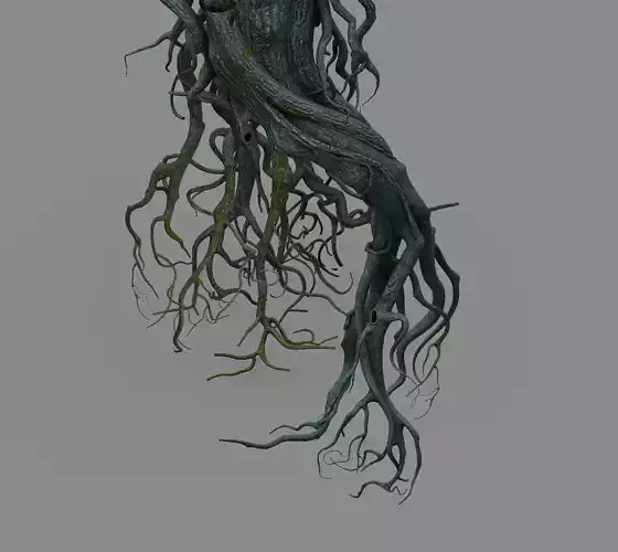 Mountain plants - big tree roots 3D model