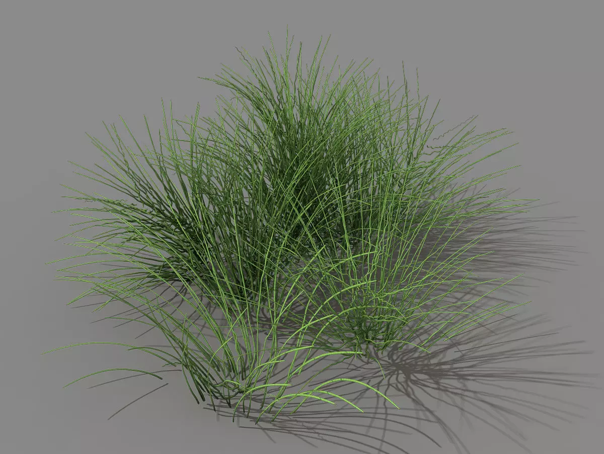 Mountain plants - flowers 03 3D model_0
