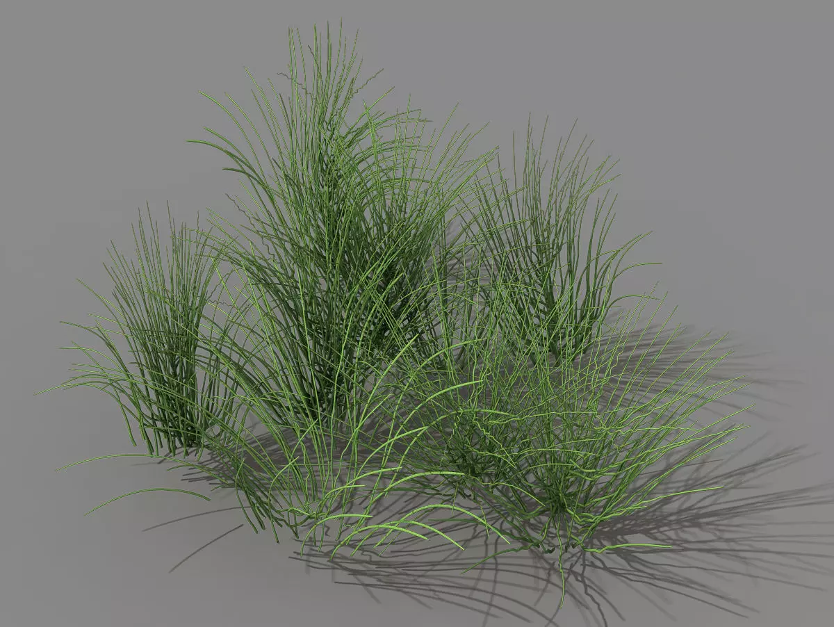 Mountain plants - flowers 04 3D model_0
