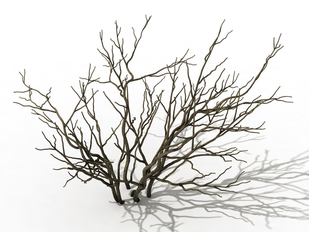 Mountain plants - shrubs 01 3D model_1