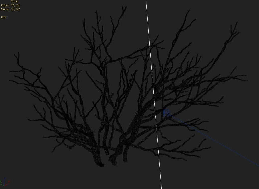 Mountain plants - shrubs 01 3D model_2