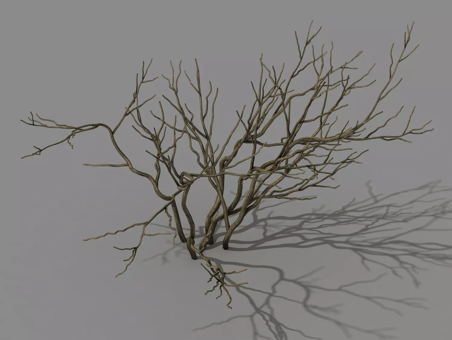Mountain plants - shrubs 02 3D model_0
