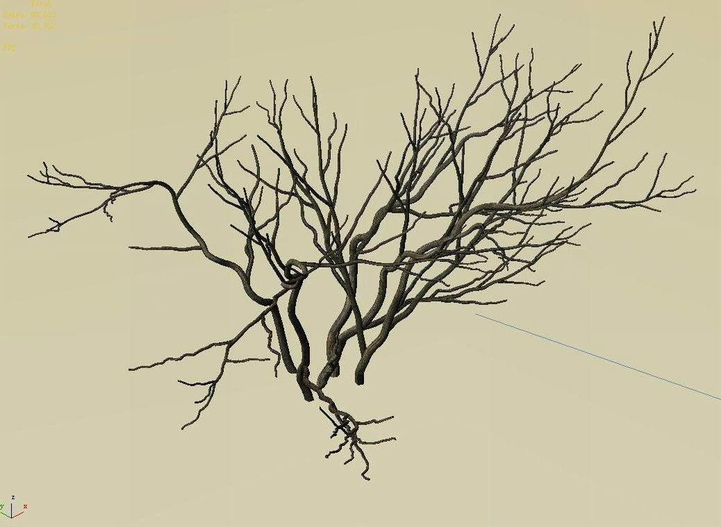 Mountain plants - shrubs 02 3D model_3