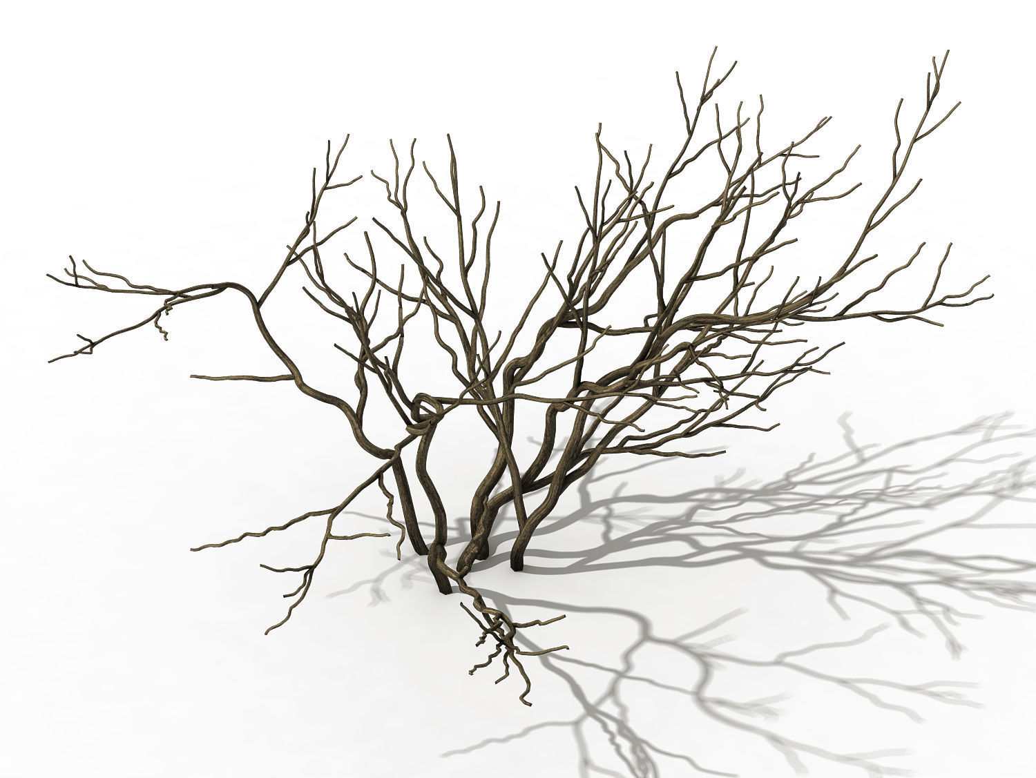 Mountain plants - shrubs 02 3D model_1