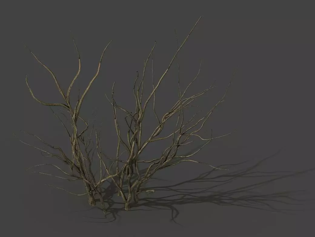 Mountain plants - dry shrubs 03 3D model_0