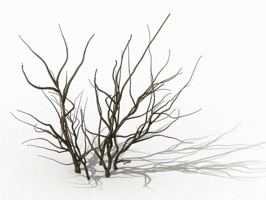 Mountain plants - dry shrubs 03 3D model_1