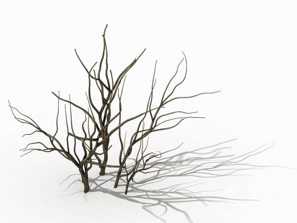 Mountain plants - shrubs 04 3D model_1