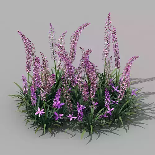 Shanglin Yuan - Plant - Flower 01