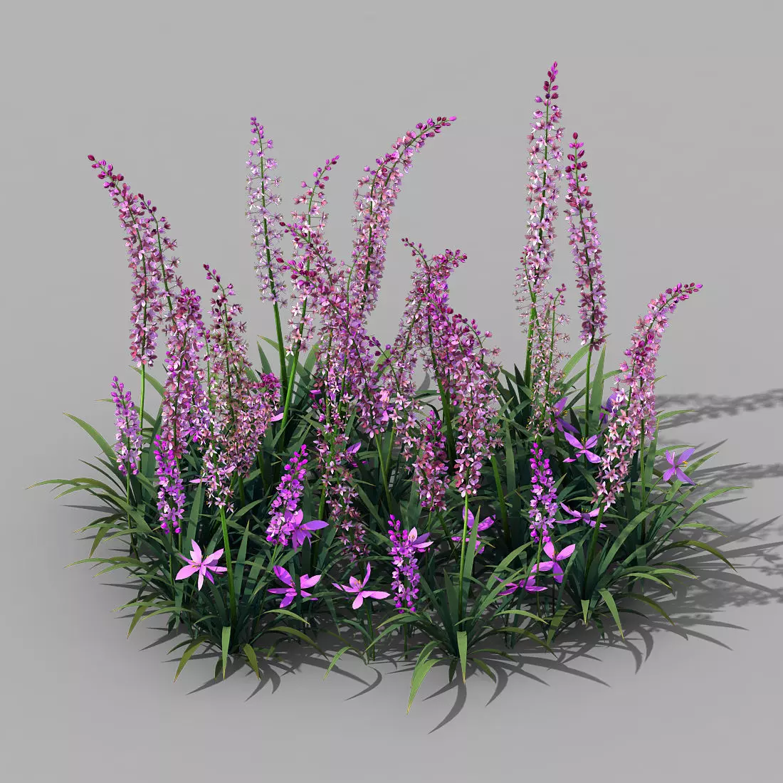 Shanglin Yuan - Plant - Flower 01 3D model_0