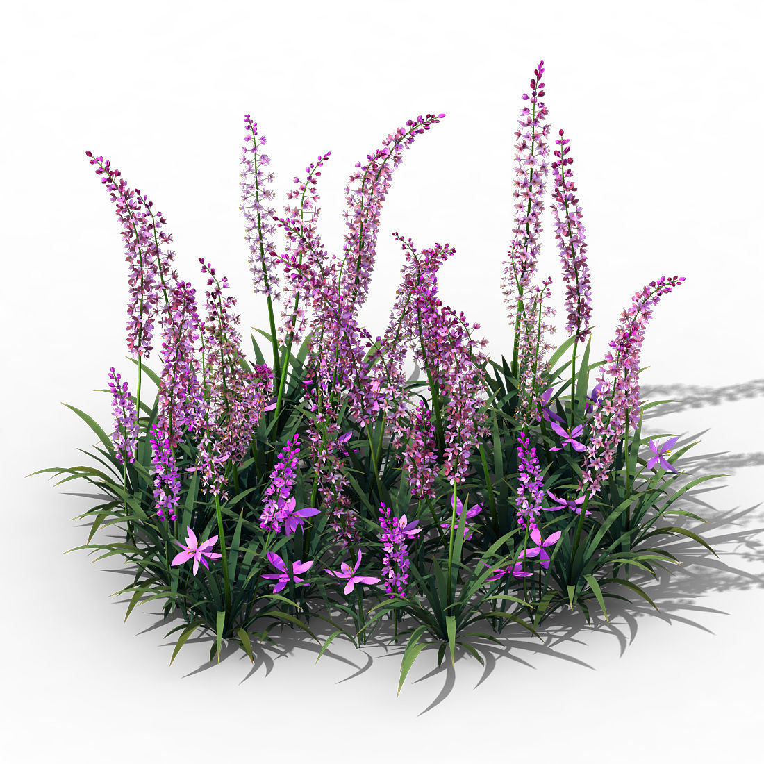 Shanglin Yuan - Plant - Flower 01 3D model_2