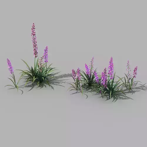 Shanglin Yuan - Plant - Flower 02