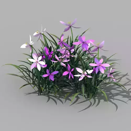 Shanglin Yuan - plants - flowers 03